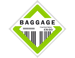 The Baggage Collection